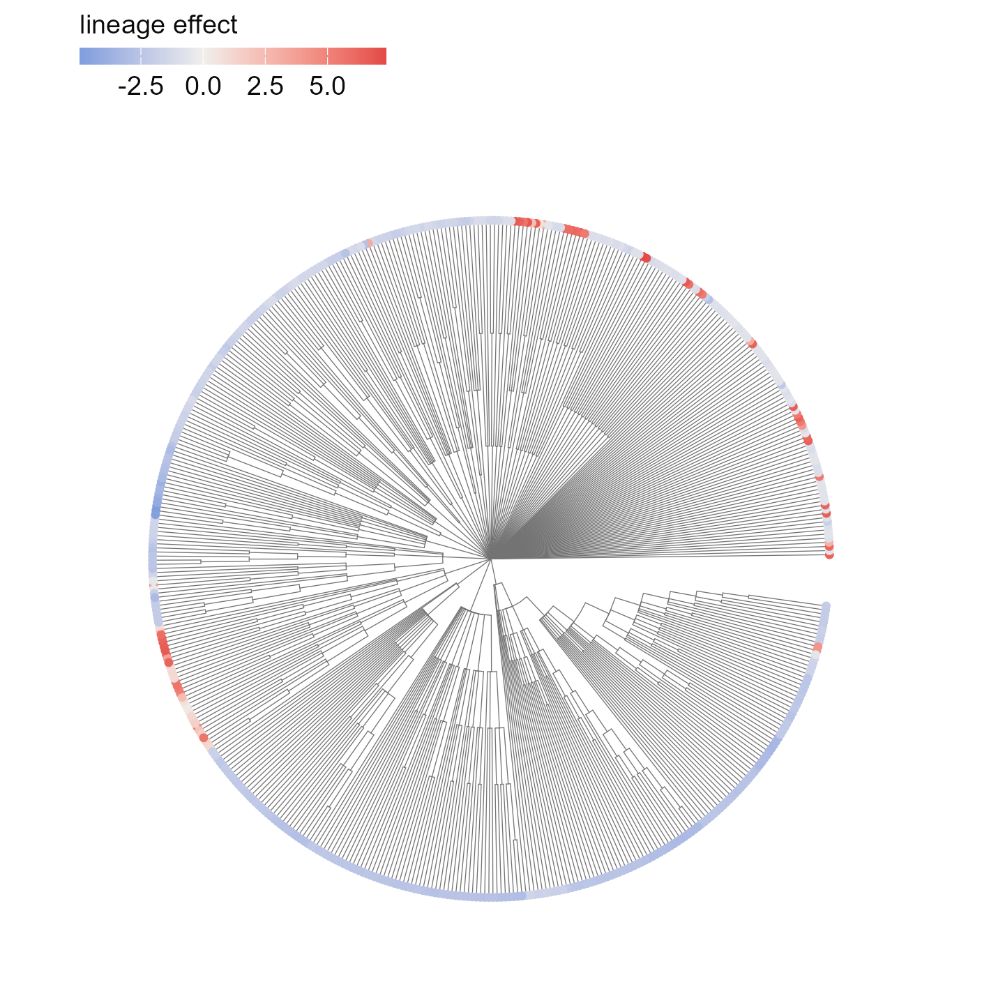 Posterior mean of each language's phylogenetic effect, on the logit scale. Whole clades lean the same way, which is what a phylogenetic random effect is for.